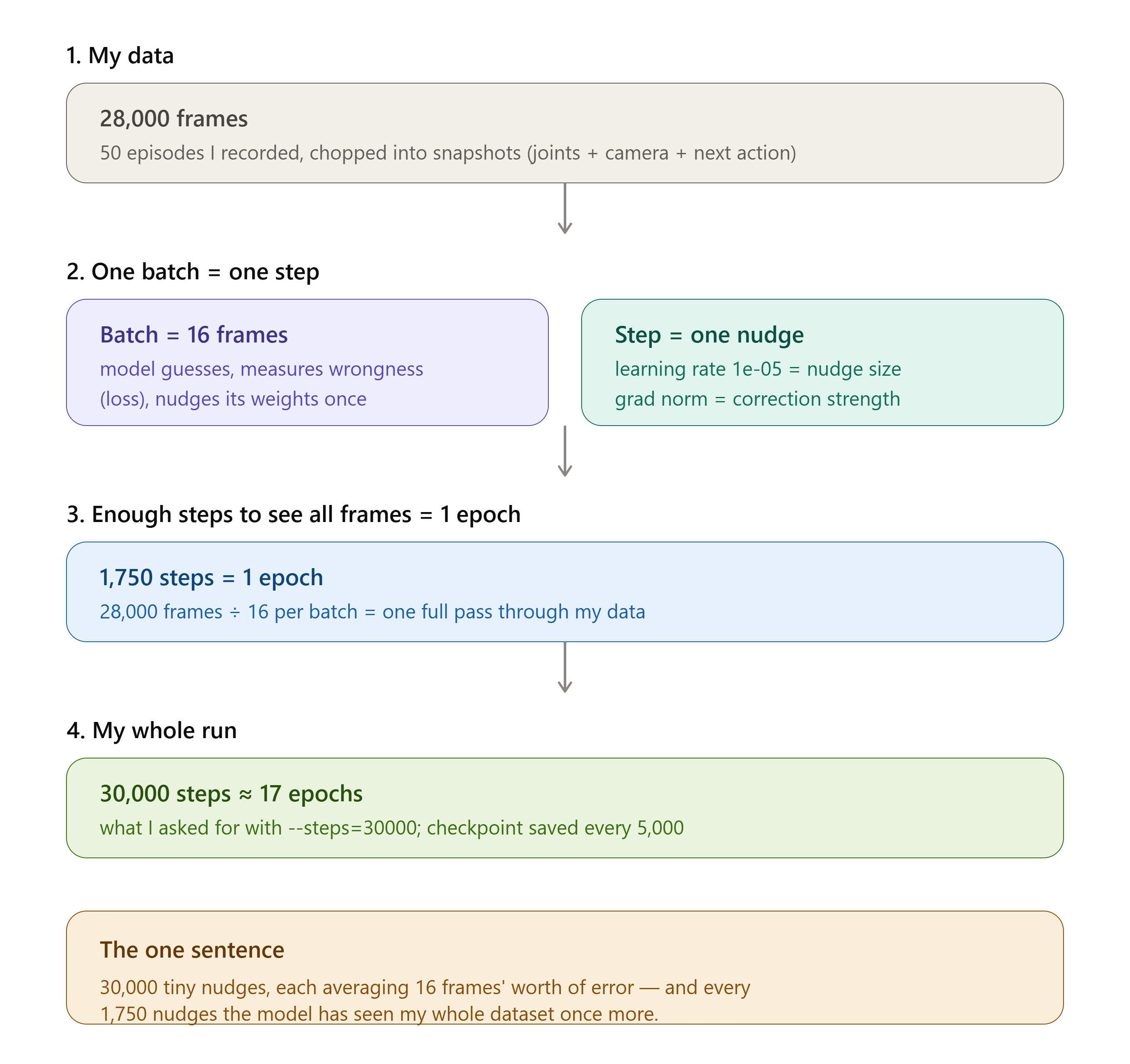 Infographic explaining the training math: 28,000 frames from 50 episodes, batch of 16 = one step, 1,750 steps = one epoch, 30,000 steps is about 17 epochs
